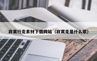 哈尔滨寂寞行走素材下载网站（寂寞走是什么歌）